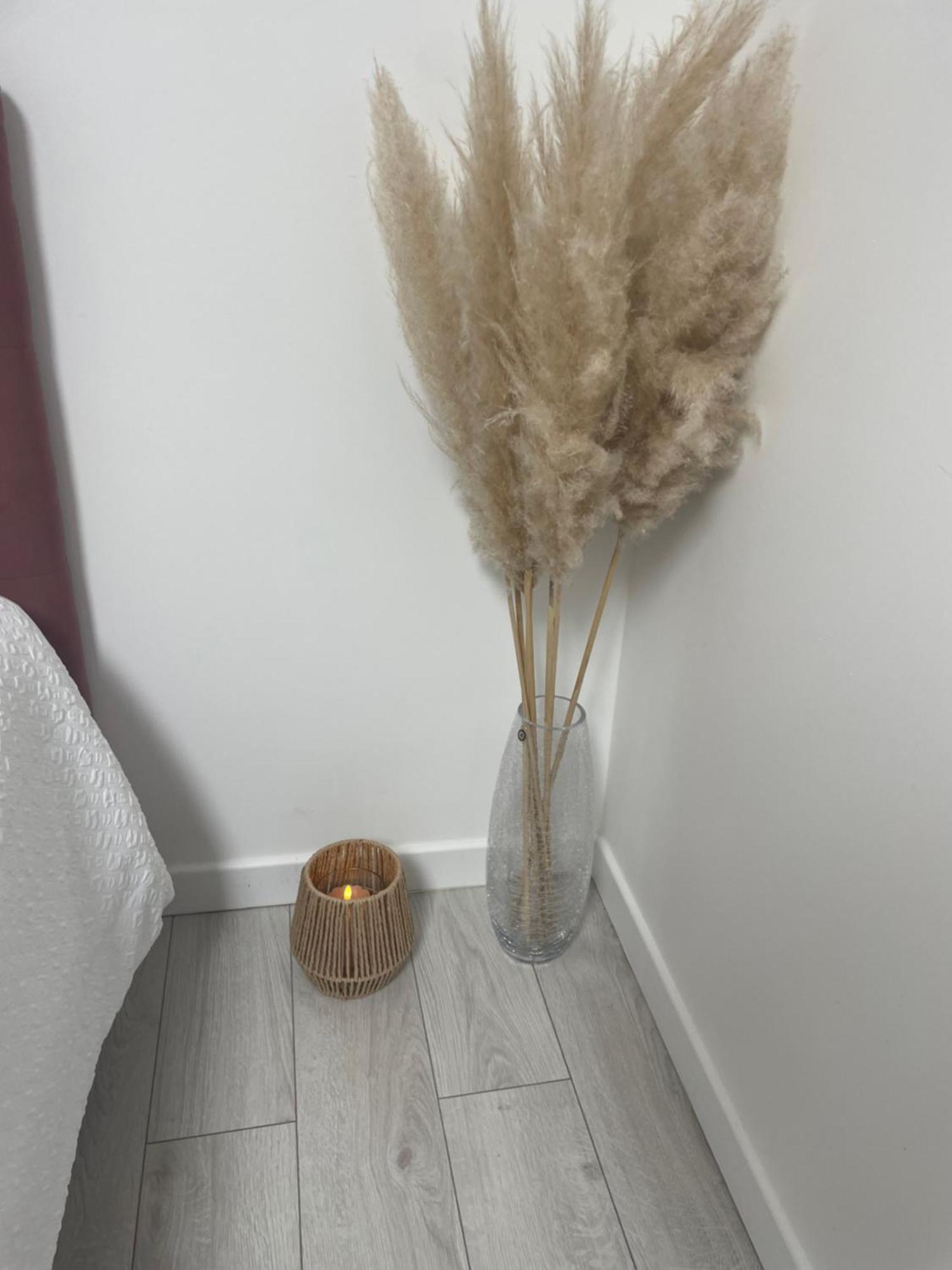 Oasis Spa Pres De Disney Nanteuil-les-Meaux ภายนอก รูปภาพ
